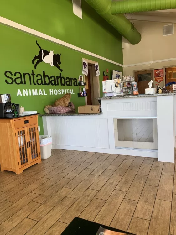 Santa Barbara Animal Hospital, Florida, Cape Coral